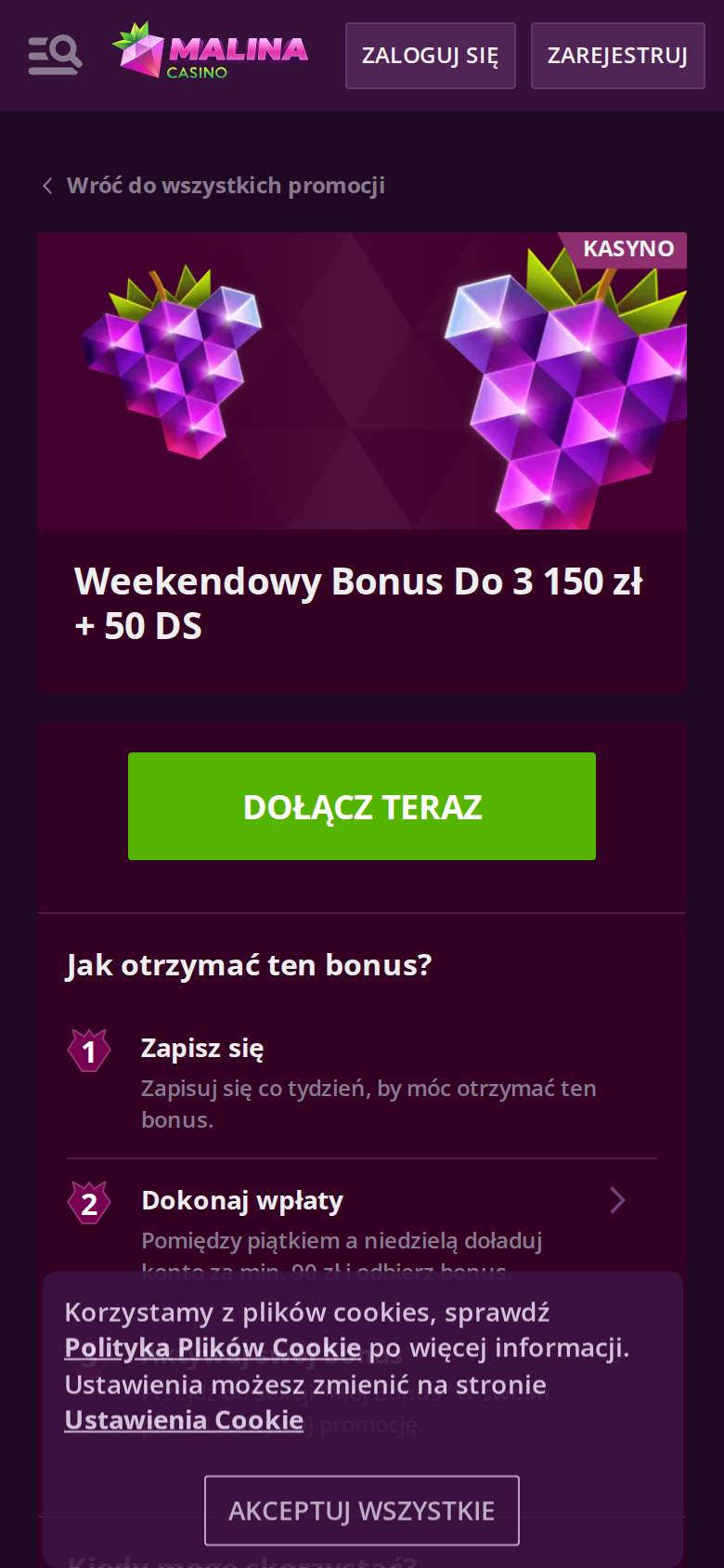 Malina — strona promocji